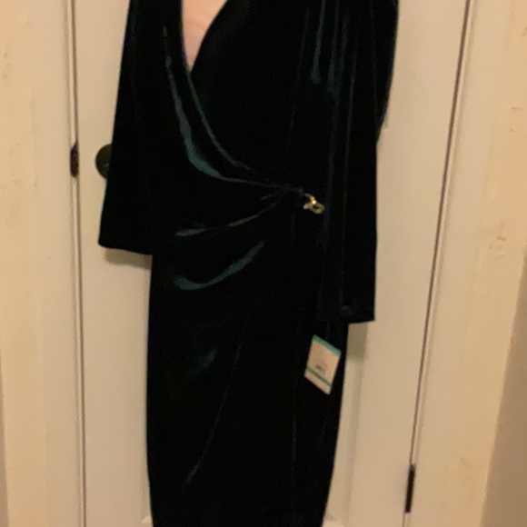 ANNE KLEIN Emerald Green Dress Size 16 NWT Retail $119 LAST ONE - Picture 4 of 6